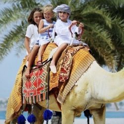 توقيع مذكرة تفاهم بين جامعة الإمارات وشركة “ضمان ”  لتطوير برامج وتقنيات الذكاء الاصطناعي في مجال التأمين الصحي