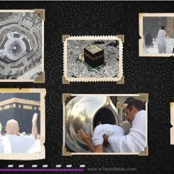 زكي نسيبة يؤكد أهمية تشجيع أصحاب  مشاريع الذكاء الاصطناعي المتعلقة بجودة الحياة  مشاريع للإقامة السعيدة وخدمات كبار المواطنين