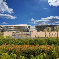 أعلى ثقة للمستثمرين ببيئة الأعمال في دبي منذ 2014