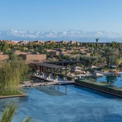 دولة الإمارات تقدم 22,330 جرعة من لقاح كوفيد19