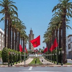 انطلاق مؤتمر الإفتاء العالمي بالقاهرة