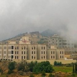 دولة الإمارات ترسل طائرتي إمدادات طبية إلى تونس