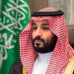 محادثات بين الإمارات وإندونيسيا لشراكة اقتصادية شاملة