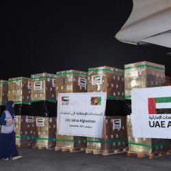 الإمارات تسجل 744 إصابة جديدة بكورونا