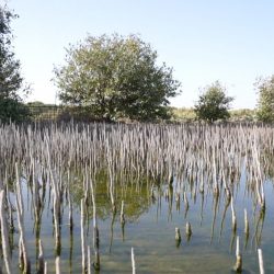 الشيخ محمد بن زايد يوجه بمنح الإقامة الذهبية للعاملين في خط الدفاع الأول وأسرهم