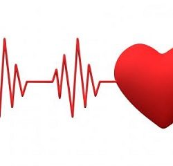 «اكسبو 2020 دبي» يستذكر «راشد الخير»