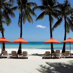 سلطان الجابر : صناعة الإمارات وجهة جاذبة للمستثمرين المحليين والدوليين