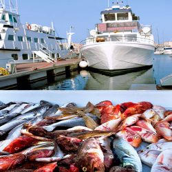 «صندوق النقد» يرفع توقعات نمو الإمارات 2022 إلى 3.5 %