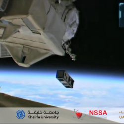 الشيخ محمد بن راشد يغرد باللغة الماليالامية ويتلقى رداً بالعربية