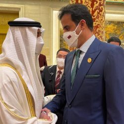 لقاء الشيخ محمد بن راشد وملك بلجيكا نهوض بالشراكة