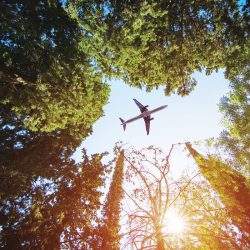 دولة الإمارات تعوّل على الحوار والمصالحة الشاملة في ليبيا