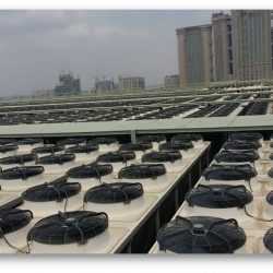 الشيخ خليفة ومحمد بن راشد ومحمد بن زايد يهنئون ماكرون بفوزه بفترة رئاسية جديدة