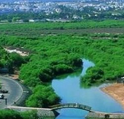 رئيس الدولة ونائبه يهنئان رئيس الكاميرون باليوم الوطني لبلاده