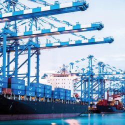 رئيس الدولة ونائبه يهنئان رئيسة جورجيا بذكرى استقلال بلادها