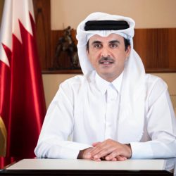 الملك سلمان يهنئ محمد بن زايد بمناسبة انتخابه رئيساً للإمارات