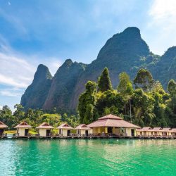 الشيخ محمد بن زايد: الإمارات ماضية في التزامها بدعم العمل المناخي