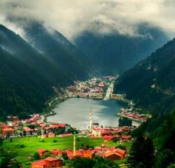 الأمير محمد بن سلمان يبحث مواجهة التحديات وأوجه التعاون مع الرئيس الأميركي