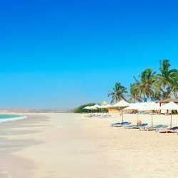 مسلمو البانيا يحتفلون بإفتتاح جامع باليجا في إلباسان