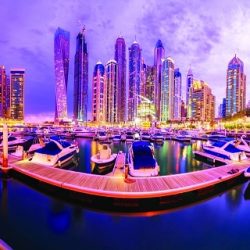 الإمارات وعُمان : نموذج للتكامل الاقتصادي