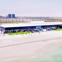 دولة الإمارات ومصر ركيزتا الأمن والاستقرار العربي