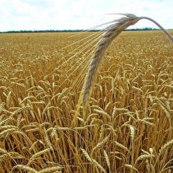 عهود الرومي تبحث توسيع وتطوير مجالات التعاون مع رئيس اللجنة الرئاسية للتحول الرقمي في كوريا الجنوبية