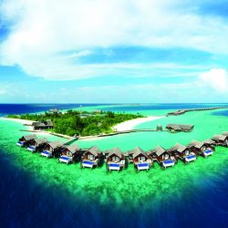 الشيخ محمد بن زايد ونائبه يهنئان الرئيس الصيني بذكرى اليوم الوطني لبلاده