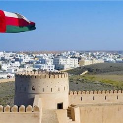 مهرجان الشيخ زايد يحطم 4 أرقام قياسية في موسوعة “غينيس”