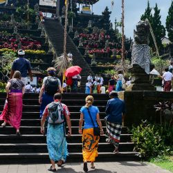 زخم الفعاليات يضاعف أعداد الزوار والناقلات الوطنية تعزز وجهاتها