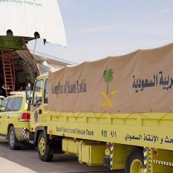 جمارك دبي تواكب طفرة السياحة البحرية