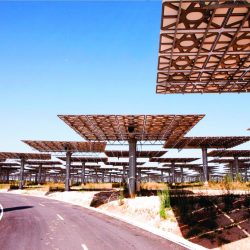 نجاح استثنائي.. للقمة العالمية للحكومات