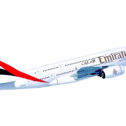 دولة الإمارات تحيي «يوم زايد للعمل الإنساني» غداً