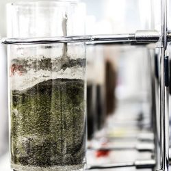 آرو لاونج وليلة من ليالي رمضان الراقية