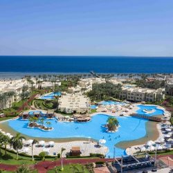 متحف «عُمان عبر الزمان».. نافذة لمعايشة تاريخ يمتد ملايين السنين متحف «عُمان عبر الزمان».. نافذة لمعايشة تاريخ يمتد ملايين السنين