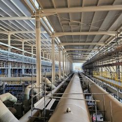 “هاوي” تستعد للمشاركة في معرض الرياض الدولي للكتاب 2023م