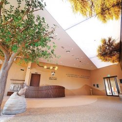 نادي اليخوت الملكي يستقبل رحلات «سكاي ووكر» في رأس الخيمة