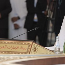 فلاي دبي تضيف سوتشي إلى شبكتها الصيفية الموسمية