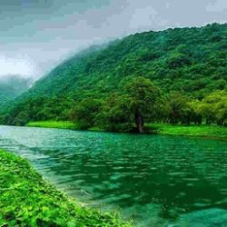 انضم إلى مهرجان النكهات: مهرجان عالم المأكولات في لولو السعودية يحدث الآن!