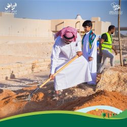 تعلمت التجميل وزراعة الشعر، وعملت في مجال الترجمة والتجارة حتى استجمعت قواي مجددا.