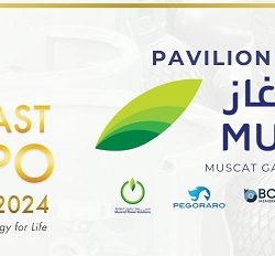 المعرض العالمي لمستلزمات وحلول التعليم GESS في دبي 2024 يسلط الضوء على تكنولوجيا التعليم، مع زيادة استثمار المدارس الدولية في الخليج في تقنيات الواقع المعزز والذكاء الاصطناعي