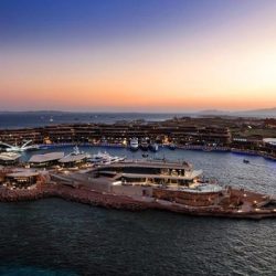 يونس و دندن يستقبلون مجموعة سفراء عرب متضامنين وشاجبين للعدوان الإسرائيلي على فلسطين ولبنان