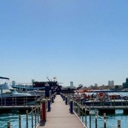 كامل الوزير يرعى الملتقى المصري السوداني الأول لرجال الأعمال،