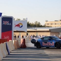 تكريم الدكتورة أمال بورقية .. بحضور مجدي الحسيني وعفاف شعيب وأحمد ماهر