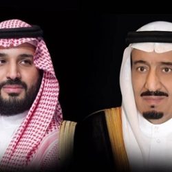 احمد عادل يعود من تايلاند وموريشيوس بعد رحلة عمل ناجحة