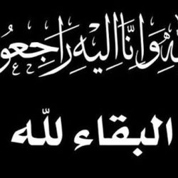 داماك العقارية تسجل مبيعات تتجاوز 10 مليارات درهم مع إطلاق مشروع “داماك آيلاندز”