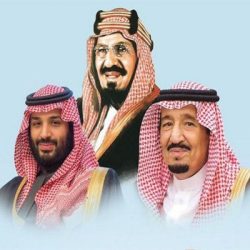 الرباط : تعزيز التعاون البرلماني الإفريقي من أجل السلم والتنمية والأمن