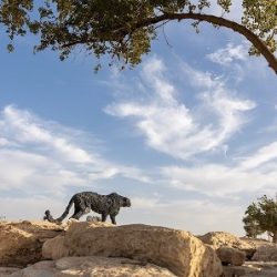 أدبي جدة وجمعية الثقافة والفنون يحتفلون بيوم التأسيس