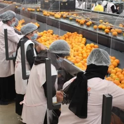 فنادق ومنتجعات المغرب تستعد لـ «عطلة عيد الفطر» 2025 فنادق ومنتجعات المغرب تستعد لـ «عطلة عيد الفطر» 2025
