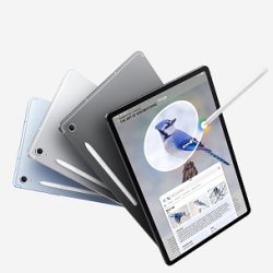 سفير أرمينيا الجديد بالقاهرة يستمتع بالكشرى المصري ويكشف عن خططه لتعزيز العلاقات الرياضية