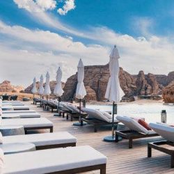 الخطوط الجوية الملكية الأردنية تقيم حفل عشاء بالرياض