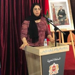 من القوة إلى الكفاءة والديناميكية .. كل ما تريد معرفته عن “باترول نيسمو” الجديد كليًا